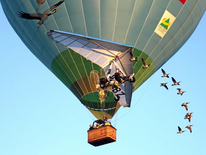 Vol en Montgolfière avec les Oiseaux dans le Cantal