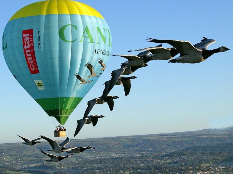 Vol en Montgolfière avec les Oiseaux dans le Cantal