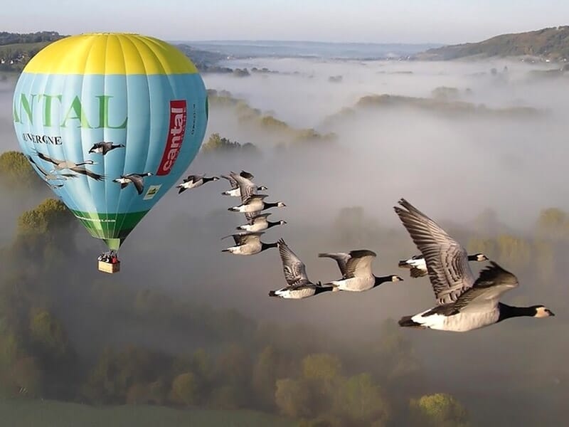 Vol en Montgolfière avec les Oiseaux dans le Cantal