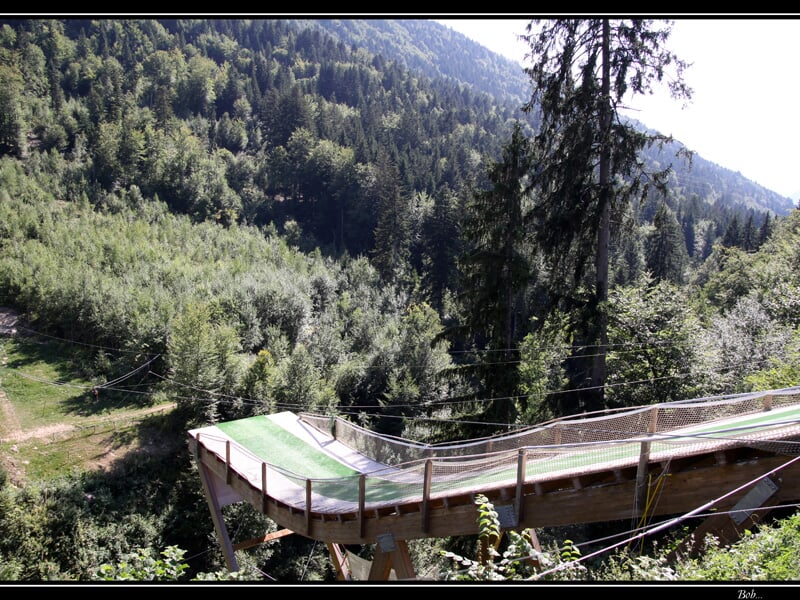 Piste en bois avec rampe verte au milieu d'une forêt de montagne, entourée d'arbres et d'une vallée verdoyante, idéale pour des activités de glisse ou des loisirs en plein air.