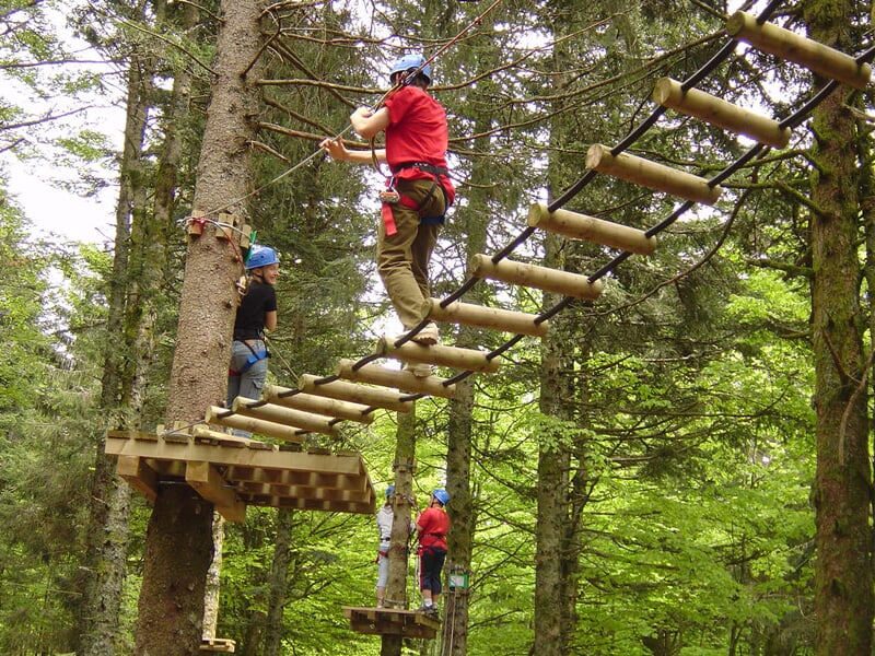 Personnes équipées de casques et harnais franchissant un pont de singe en bois suspendu dans une forêt dense et verdoyante.
