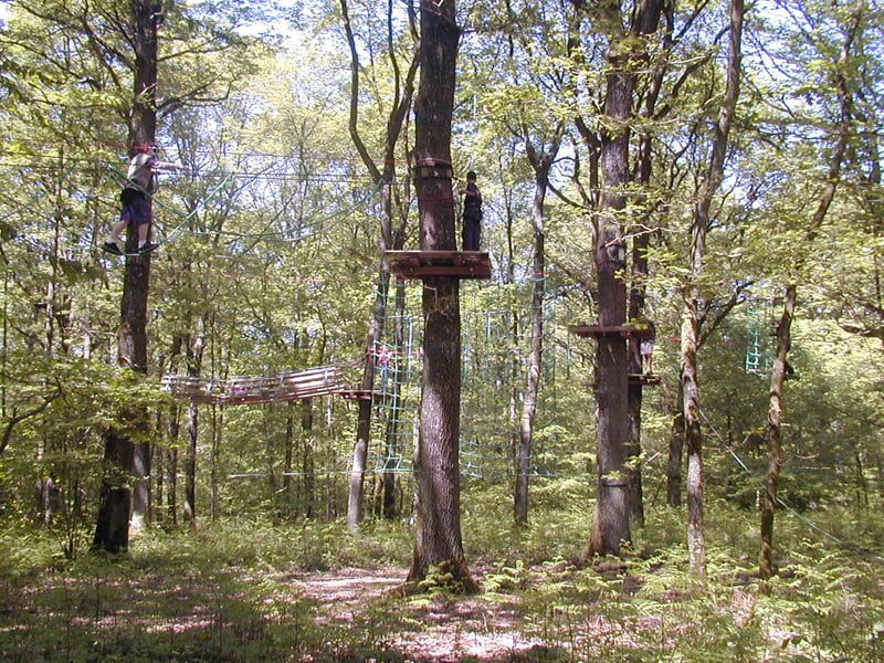 Parcours aventure en hauteur avec plusieurs plateformes en bois reliées par des ponts suspendus dans une forêt ensoleillée.