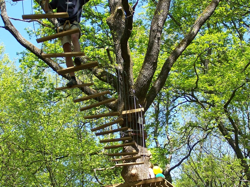 Vue d'un parcours d'accrobranche avec des planches suspendues entre les arbres et des personnes en train de marcher dessus.