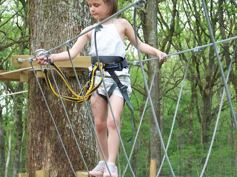 Jeune fille équipée d'un harnais de sécurité traversant un pont de cordes dans une forêt dense et verdoyante.