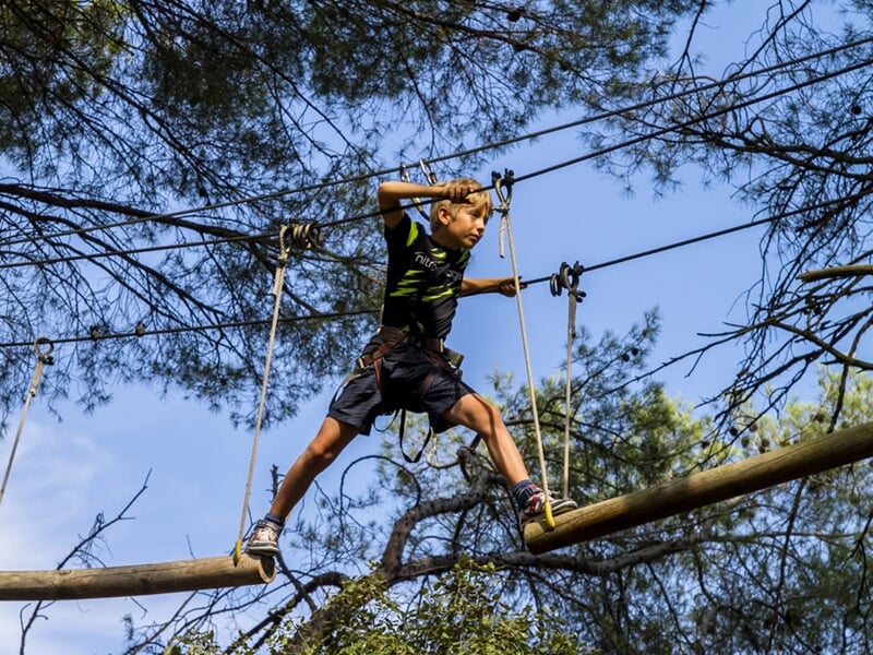 Un garçon en tenue sportive traverse un parcours d'accrobranche sur une poutre suspendue entre les arbres.