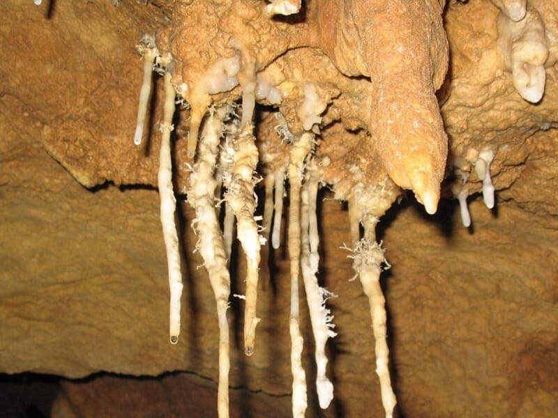 gsdSeo.titreSpéléologie près de Grasse - Sortie au Parc Régional des Préalpes d'Azur