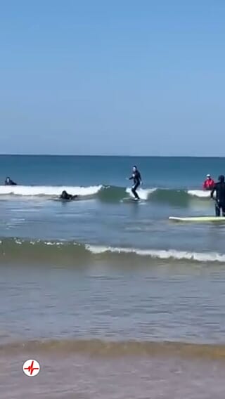 Cours de Surf à Longeville-sur-Mer près des Sables d'Olonne - Vendée