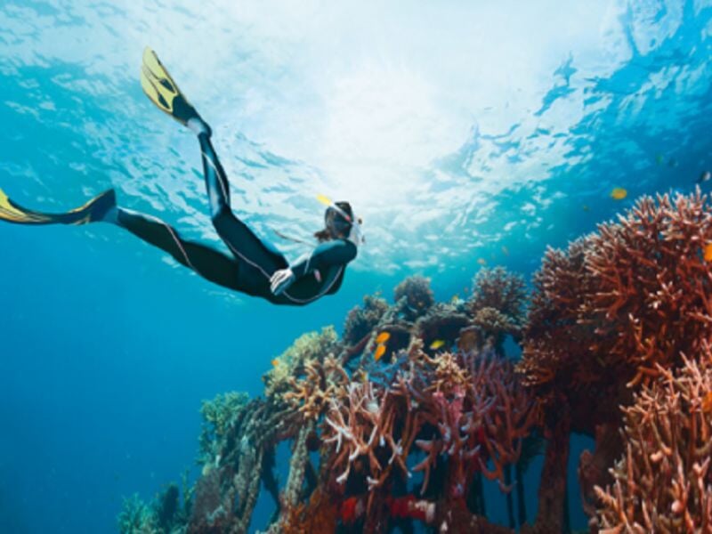 Plongeur en combinaison noire nageant au-dessus d'un récif corallien coloré sous l'eau.