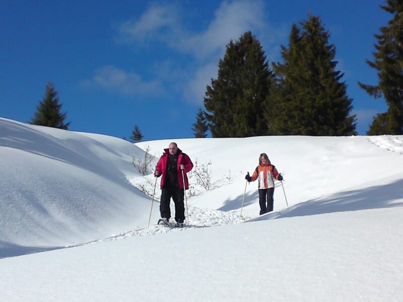 Randonnée en Raquettes à Morzine