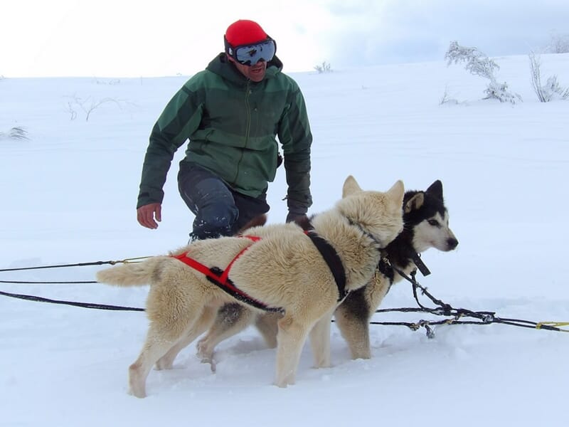 Séjour Raquettes à Neige en Andorre - Expédition Nordique