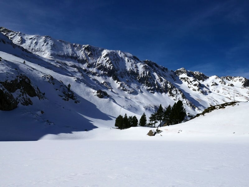 Paysage hivernal immaculé avec des montagnes enneigées et des arbres épars sous un ciel bleu clair