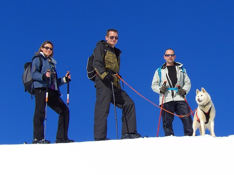 Trois randonneurs en tenue d'hiver sur un sommet enneigé avec un husky en laisse.