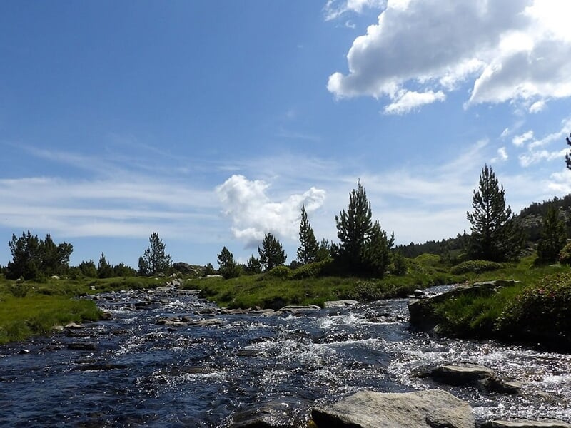 Rivière traversant un paysage verdoyant avec des arbres et un ciel bleu parsemé de nuages.