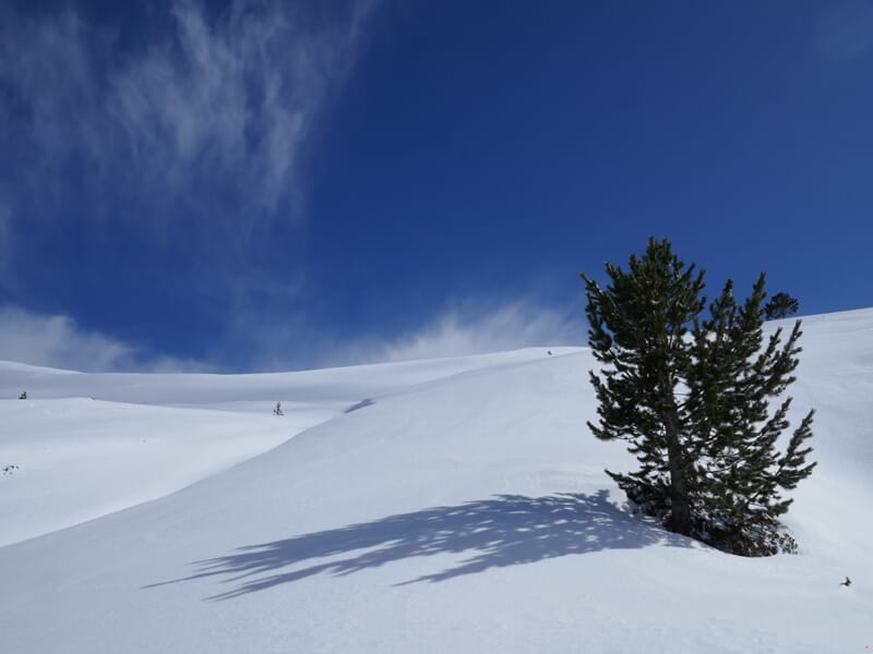 Paysage de montagne enneigée avec un ciel bleu clair et un petit arbre isolé projetant une ombre sur la neige.