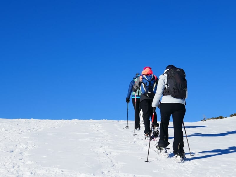 Groupe de randonneurs avec sacs à dos et bâtons de marche gravissant une pente enneigée sous un ciel bleu vif.
