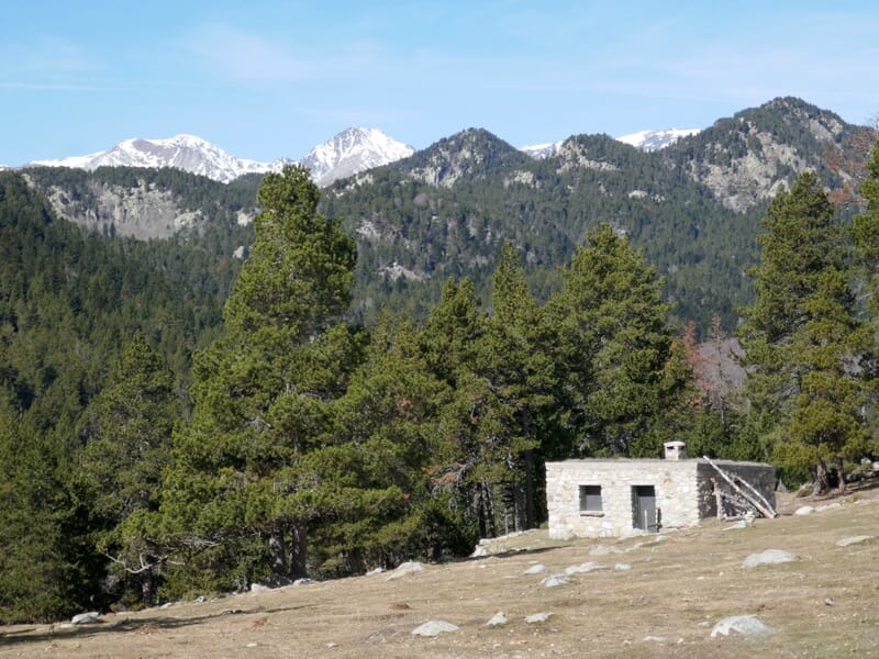 Petite cabane en pierre dans une clairière entourée de grands sapins verts et montagnes enneigées en arrière-plan.