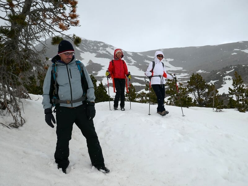 Trois randonneurs en vêtements d'hiver avec bâtons marchant sur un sentier enneigé en forêt de montagne.