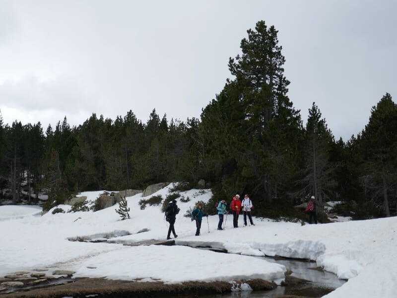 Groupe de cinq personnes en randonnée sur un sentier enneigé traversant un paysage de forêt et montagnes.