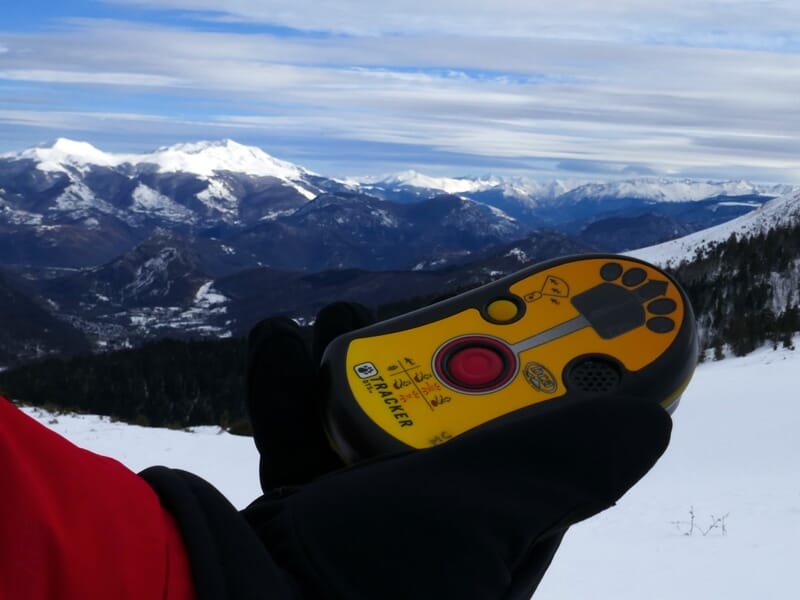 Gros plan sur un détecteur de victimes d'avalanche tenu par une main gantée dans un décor de montagne enneigée.