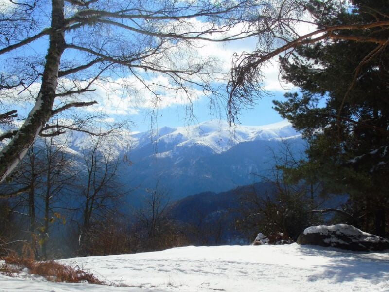 Clairière enneigée entourée de sapins givrés, vue sur une chaîne de montagnes au loin sous un ciel bleu lumineux