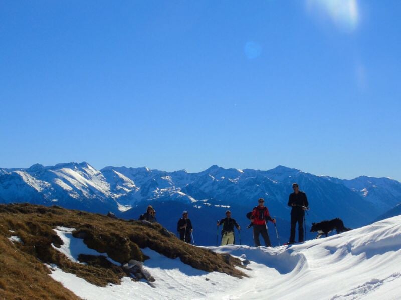 Groupe de randonneurs en montagne enneigée, accompagnés d’un chien, profitant d’un panorama sur des sommets sous un ciel bleu