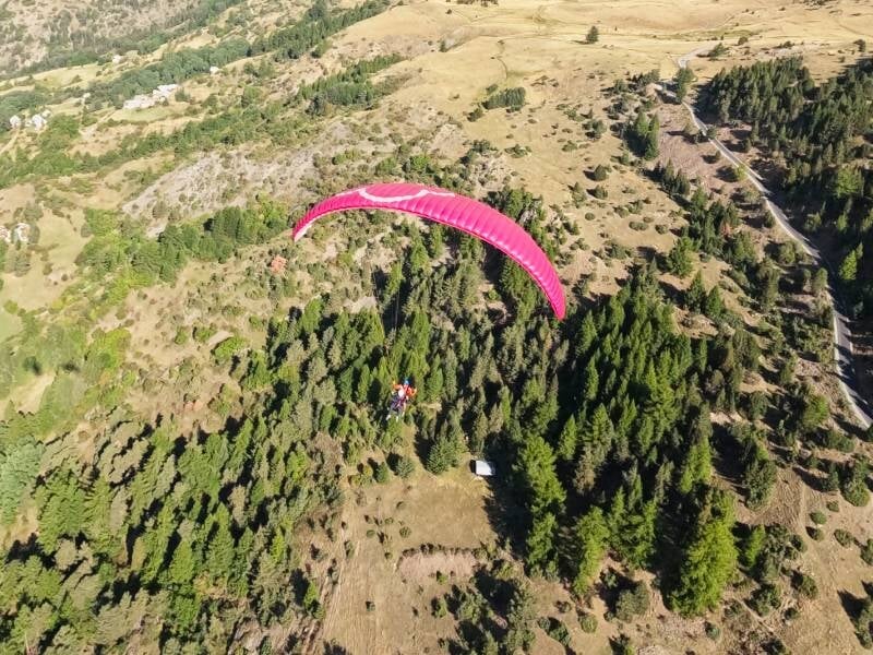 Parapente rose volant au-dessus d'une forêt dense et d'un paysage montagneux en été dans les Hautes-Alpes.