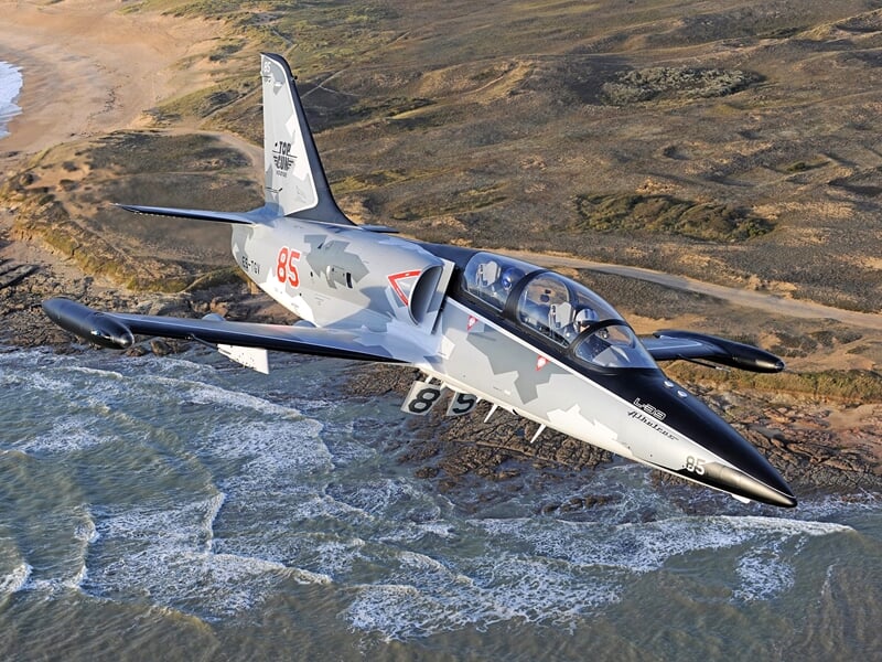 Avion de chasse gris avec camouflage noir et blanc volant au-dessus d'une côte rocheuse et de la mer.