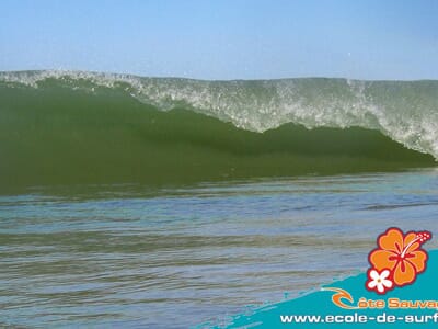 Surf - Stage Passion