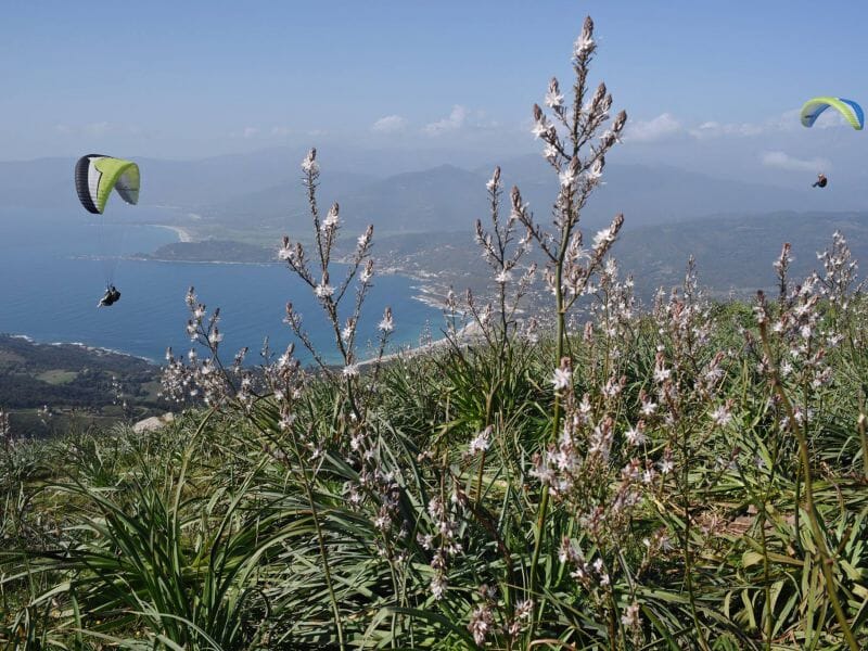 Baptême en Parapente à Vero - Survol de la Corse du Sud