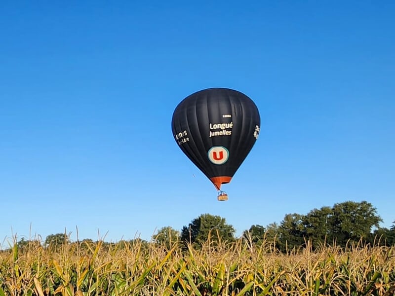 Montgolfière noire avec inscriptions survolant un champ de maïs sous un ciel bleu clair sans nuages.