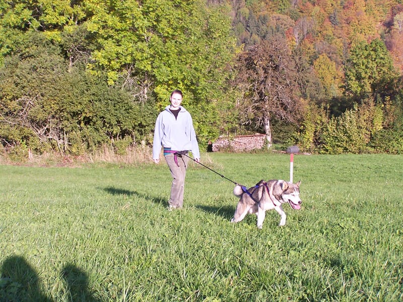 Balade cani-rando dans le parc naturel du Haut Jura