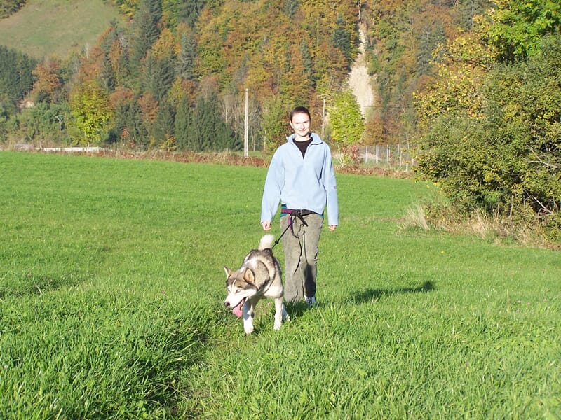 Balade cani-rando dans le parc naturel du Haut Jura