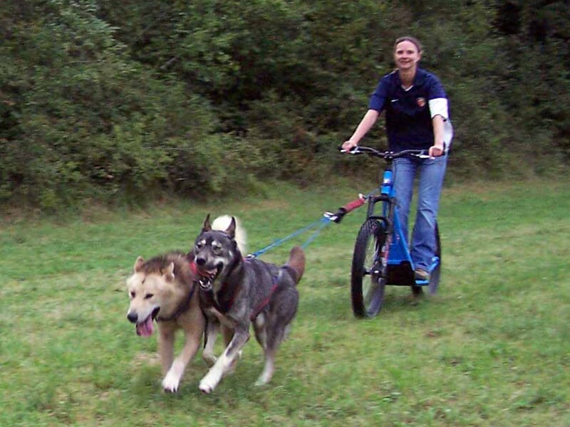 Randonnée en trottinette attelée dans le parc naturel du Haut Jura