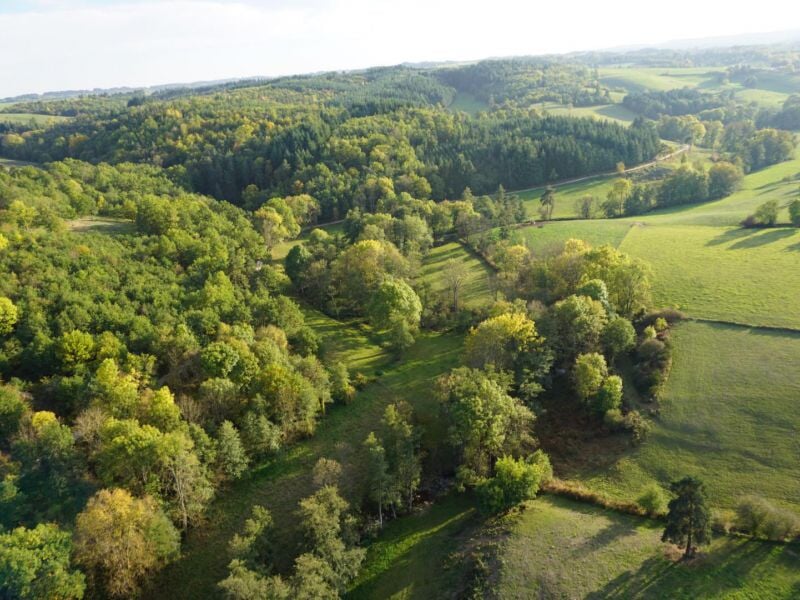Plaine du Forez,Montrond-les-Bains,vol,montgolfière