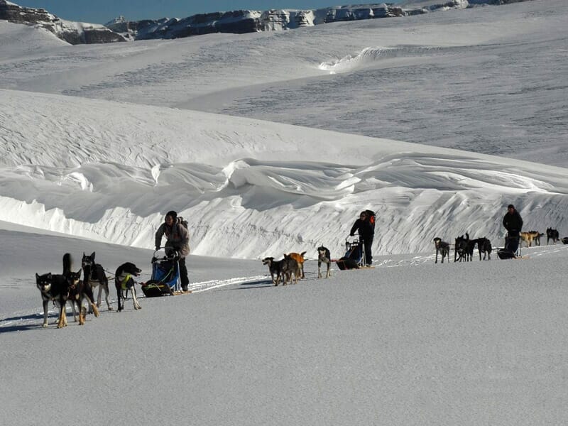 Initiation à la Conduite d'Attelage de Chiens de Traîneaux ou Cani-Kart - Massif du Vercors