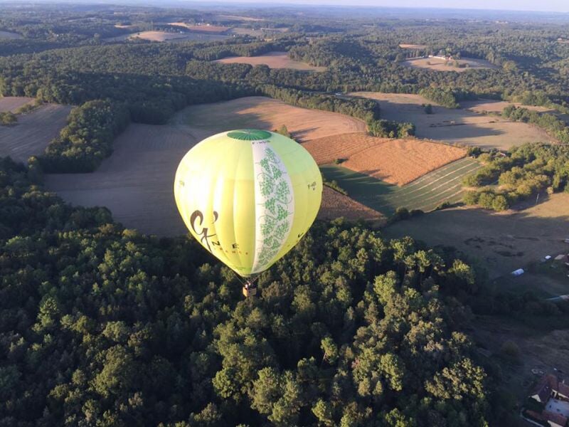 Montgolfière jaune volant au-dessus d'une forêt dense et de champs agricoles sous un ciel clair.