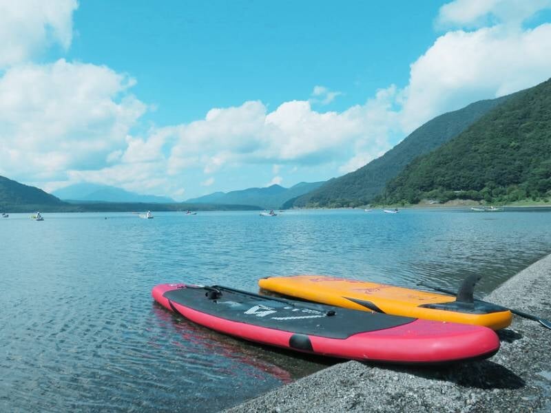 Deux planches de stand-up paddle posées sur le bord d'un lac avec montagnes et ciel nuageux en arrière-plan.