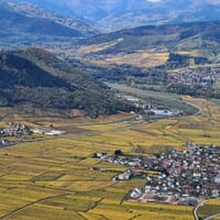 avis Baptême de l'Air en Hélicoptère à Colmar en Alsace