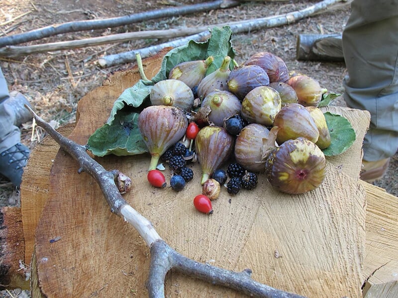 Plan rapproché de figues et baies disposées sur une planche en bois, posée sur une feuille verte.
