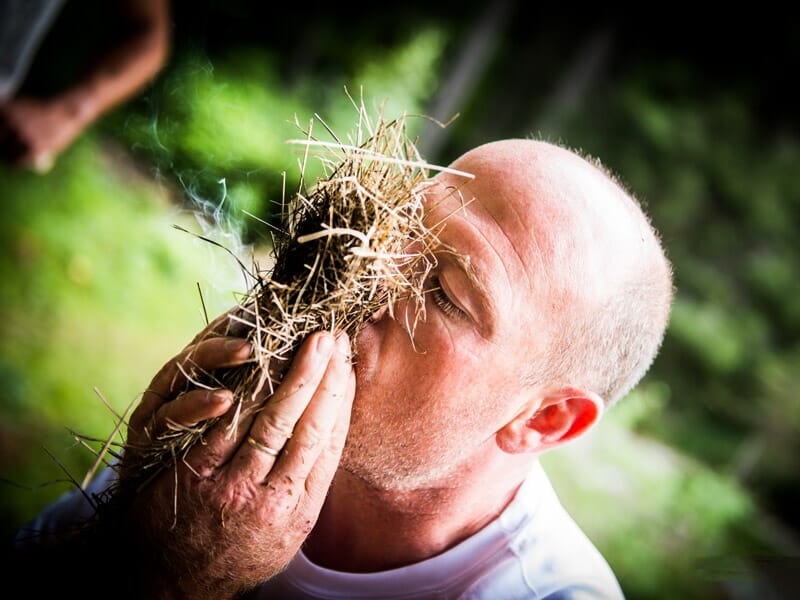 Stage de Survie en Auvergne - Viverols
