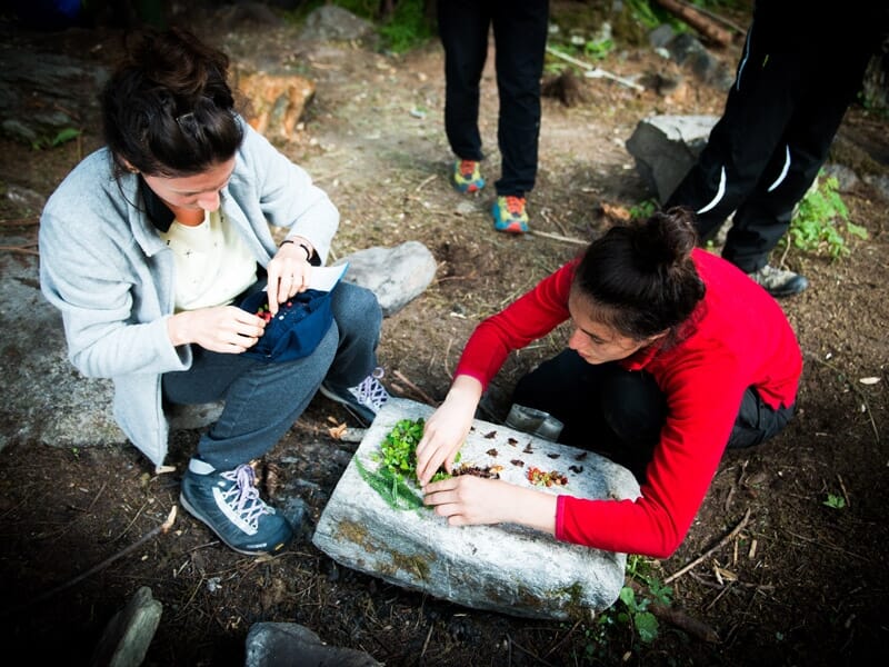 Stage de Survie en Auvergne - Viverols
