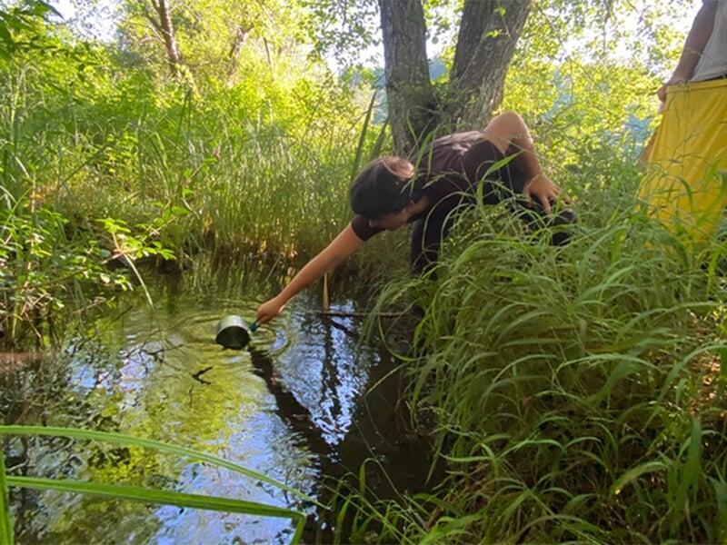 Une personne accroupie au bord d'un cours d'eau, ramassant de l'eau dans une tasse au milieu d'une végétation dense.