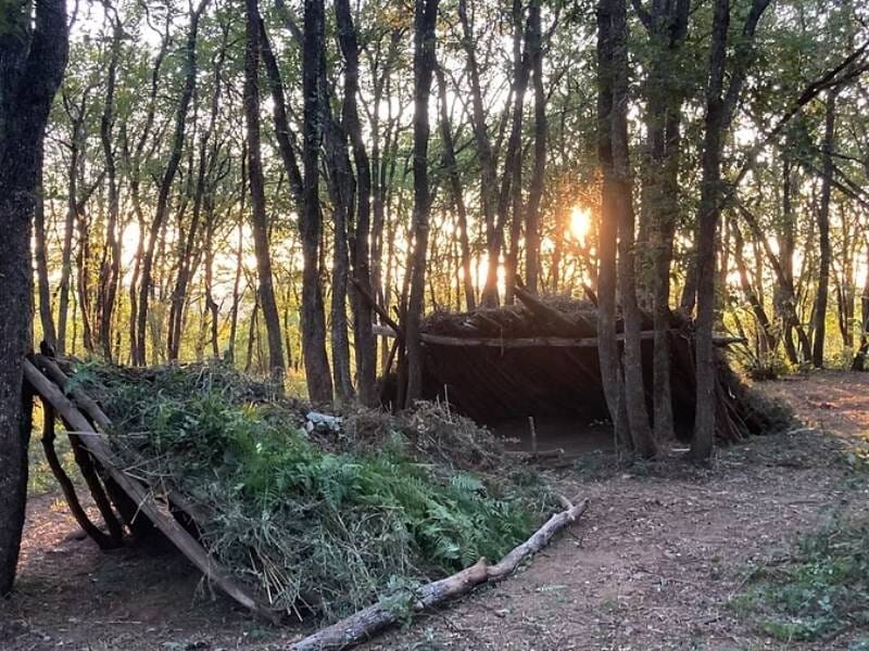 Abri de survie en forêt construit avec des branches et des feuillages, éclairé par la lumière du soleil couchant.