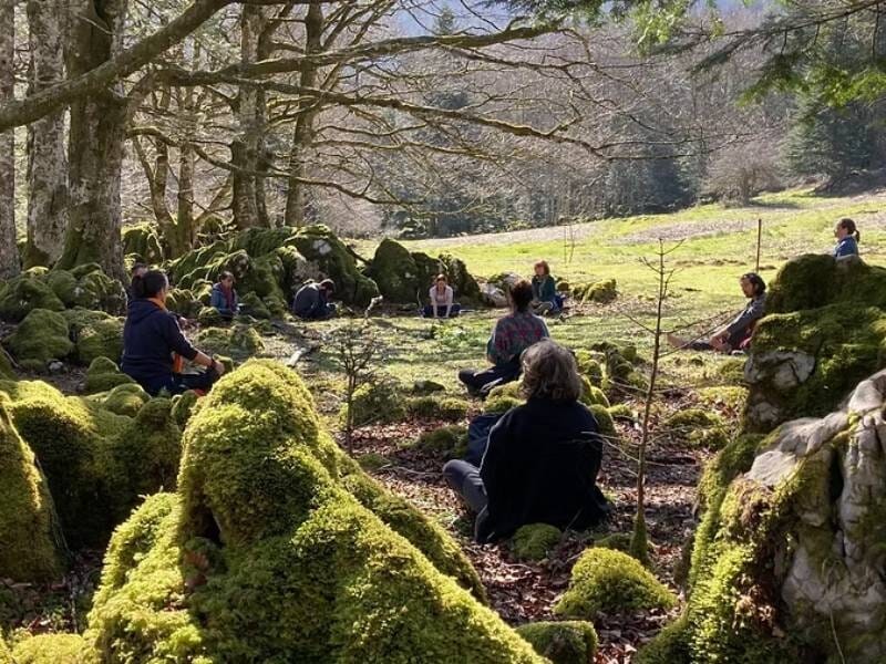 Groupe de personnes assises en cercle dans une clairière entourée de rochers et de mousse, en pleine nature.