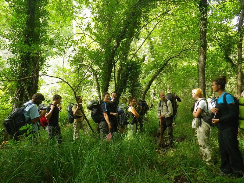 Groupe de randonneurs avec sacs à dos marchant dans une forêt dense et verdoyante.
