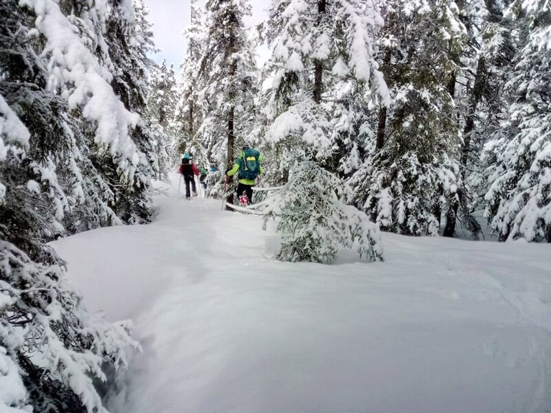 Deux personnes marchent dans une forêt enneigée avec des arbres couverts de neige épaisse en hiver.