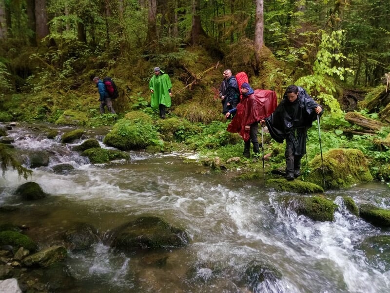 Quatre personnes traversent un ruisseau en forêt, équipées de bâtons de marche et de vêtements de pluie.