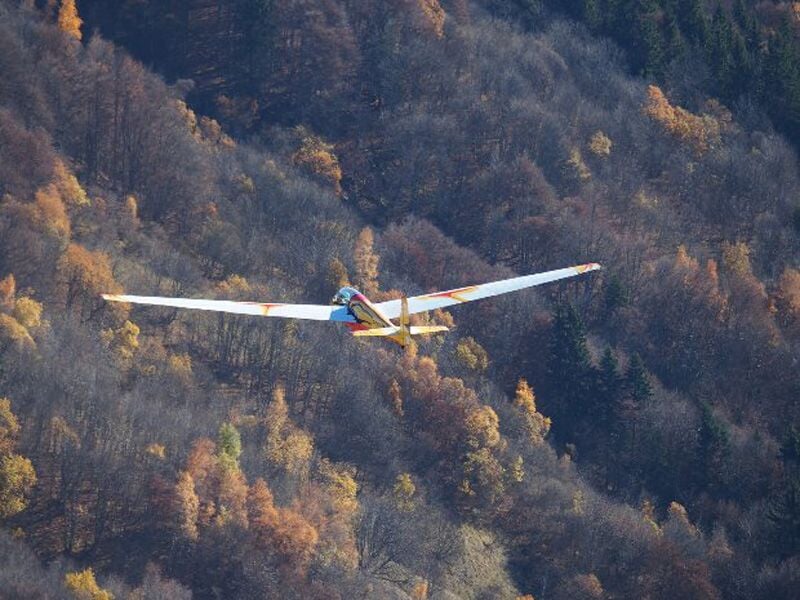 Planeur coloré en vol au-dessus d’une forêt aux teintes automnales, avec des arbres aux feuilles dorées et brunes. Scène aérienne dans un paysage vallonné.