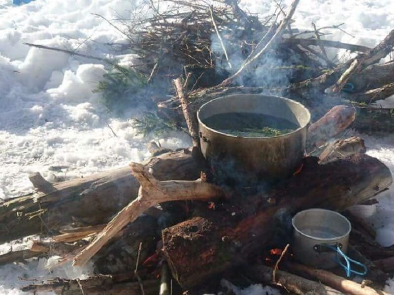 Stage de Survie Grand Froid Chiens de Traineau - Giron