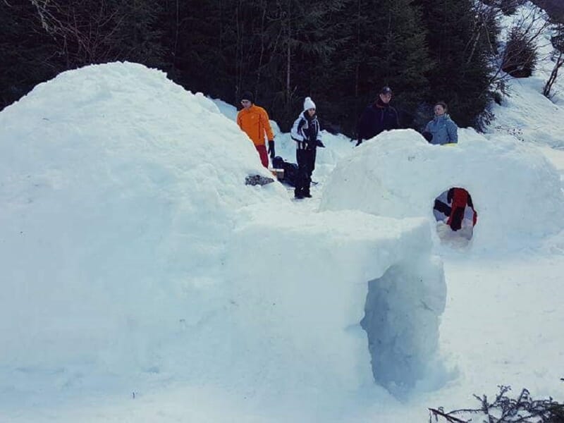 Stage de Survie Grand Froid Chiens de Traineau - Giron